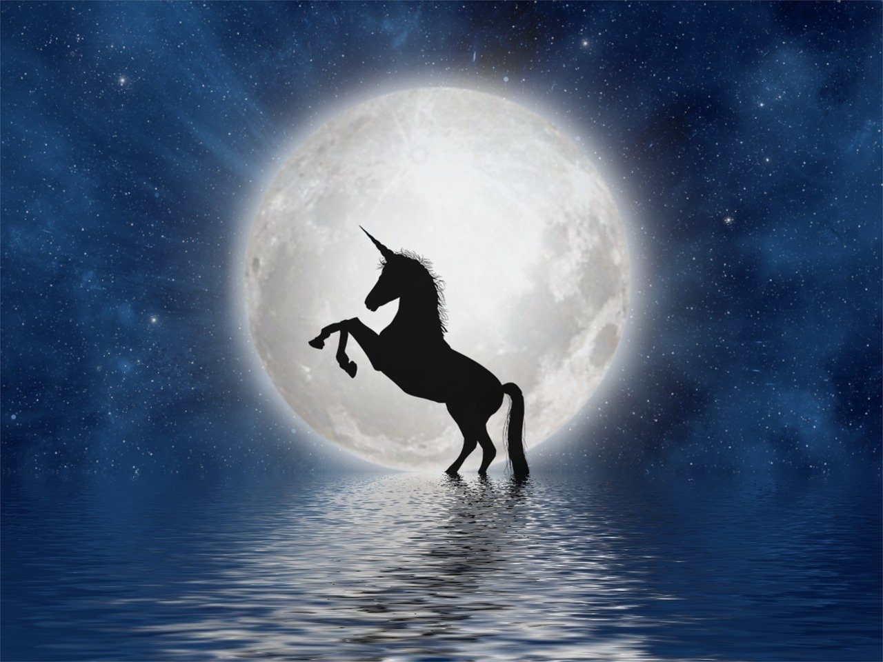 unicorn, moon, full moon-3909694.jpg